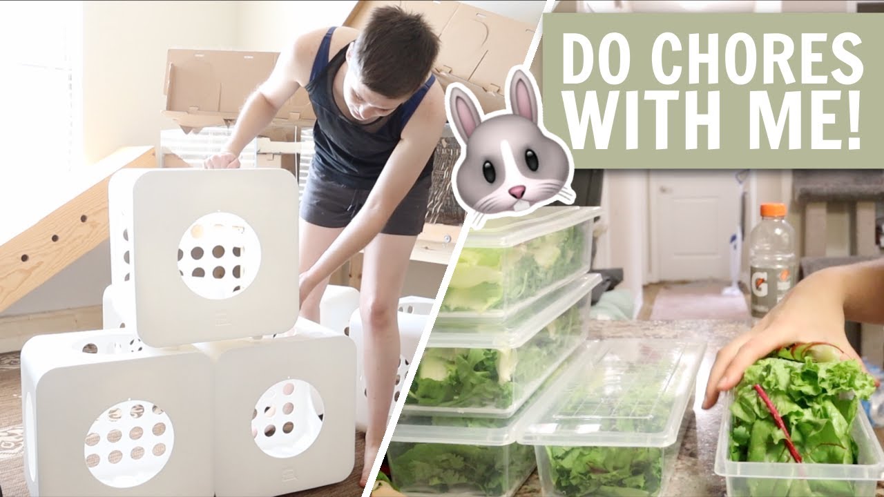Do Rabbit Chores with me!