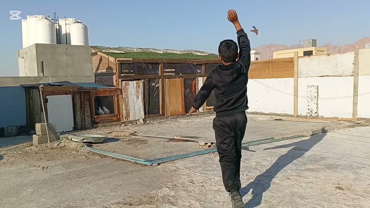 تطليع كل حمام الصطح وحريق مفاجأ