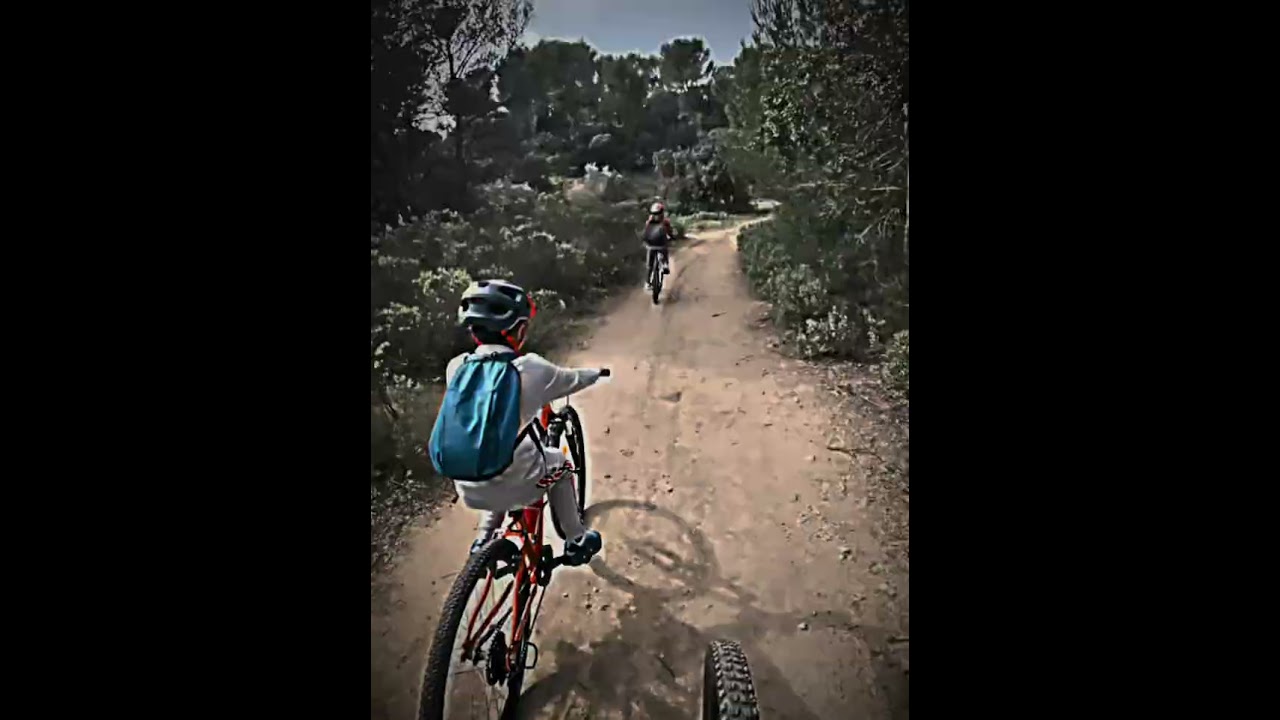 Epic MTB Forest Ride 🌲🔥 | Pure Flow & Good Vibes