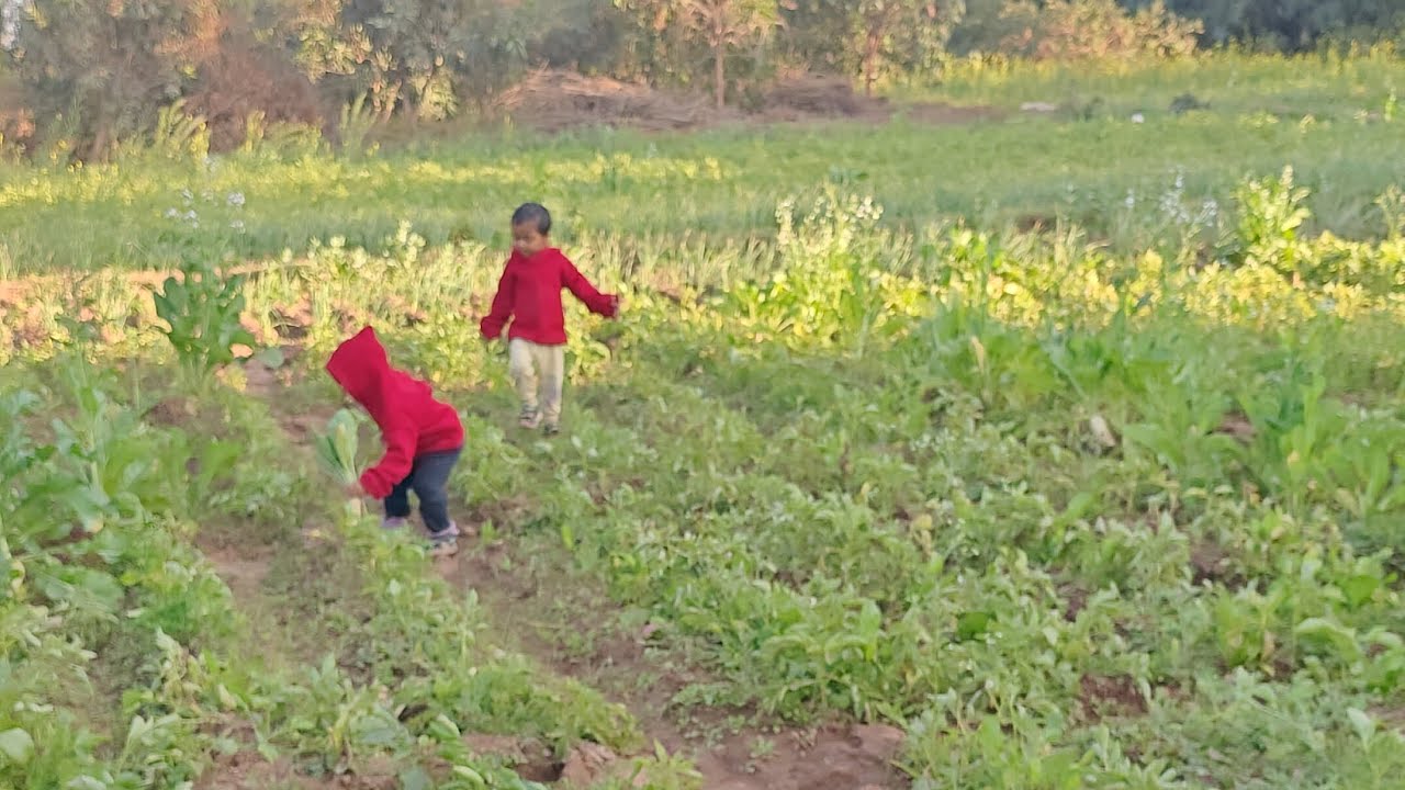 Meru & Mrigasya Exploring Vegetable Plants 🌿 | Twin Babies Learning Nature | Cute Baby Video