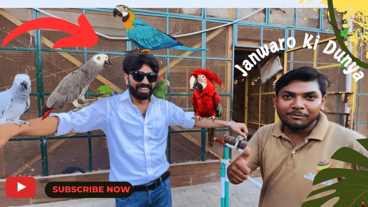 Visited Elixer Zoo 🦁 || Hidden Gem 👧 || Best For Bacha Part 🤩 || @BattuKAdventures  @jimmy-junaid