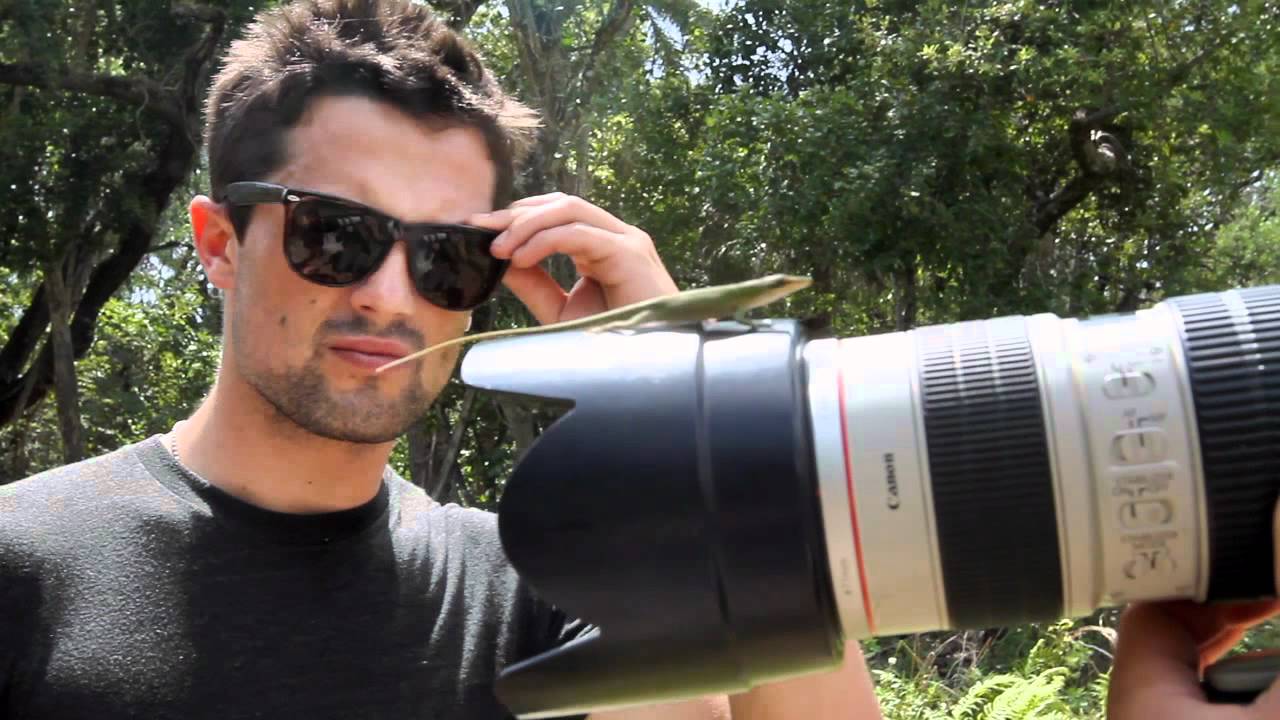 Wild Life: A New Generation of Wild, Part 2
