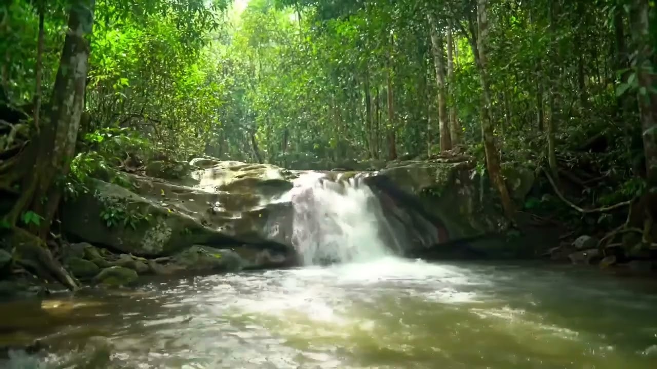 Jungle Waterfall Sounds for Sleep | Deep Forest ASMR