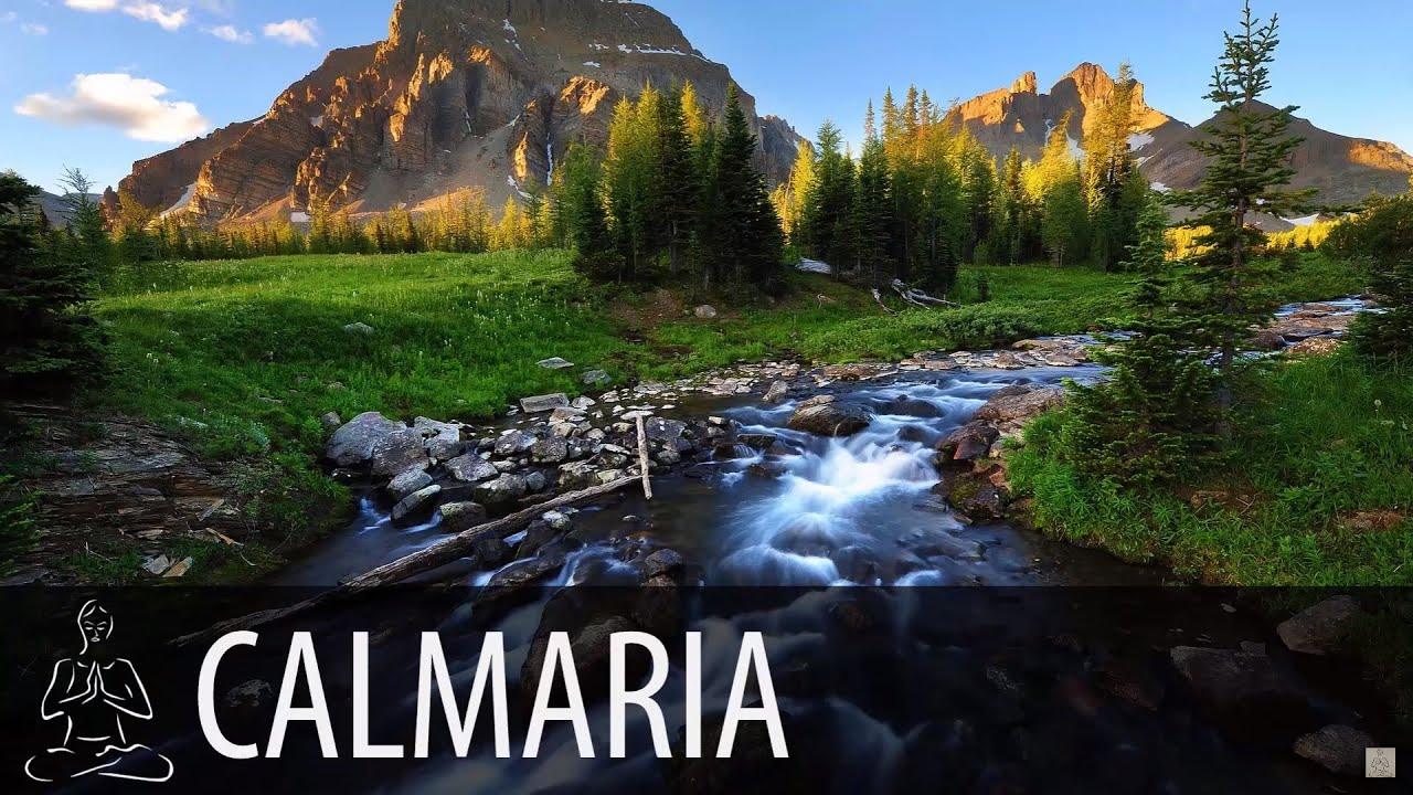 🎧 RIO, P&Aacute;SSAROS ~ &Aacute;gua Corrente, Natureza, Floresta ~ 8 horas de som ~ Relaxe, Calma ~ ♫004