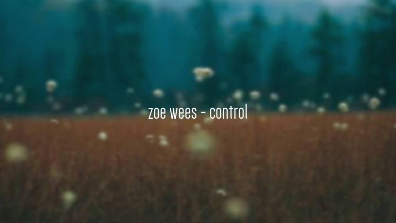 zoe wees - control ( slowed + reverb )