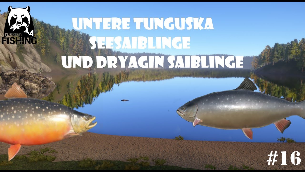 Untere Tunguska auf Seesaibling und Dryagin-Saiblinge