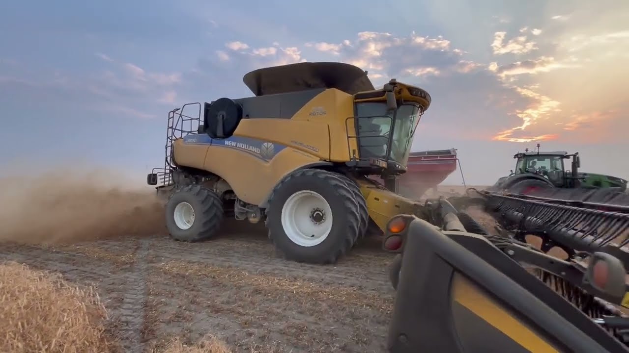 season 2024 at CP Farms