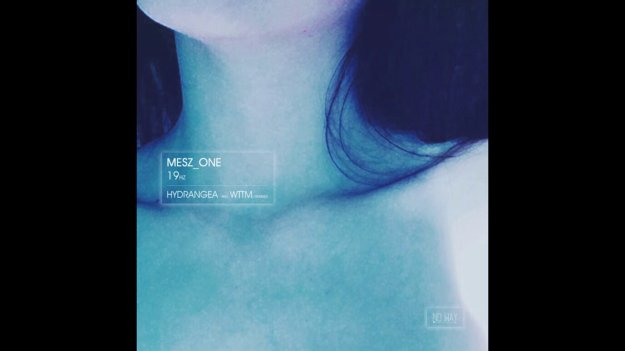 Mesz_one - Intro [NWR016]