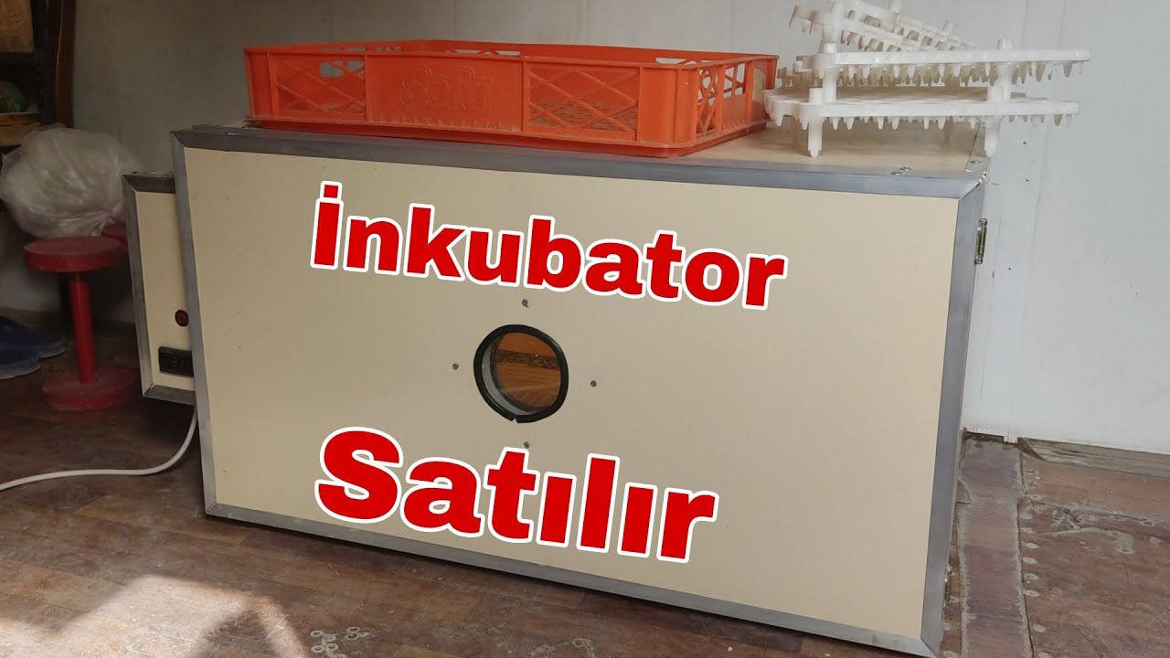 İnkubator Satılır  #inkubator