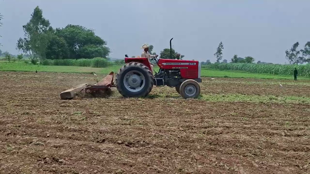 Ghuman zari farm #masseyferguson #agricultural #farming #foryou #trending #viral