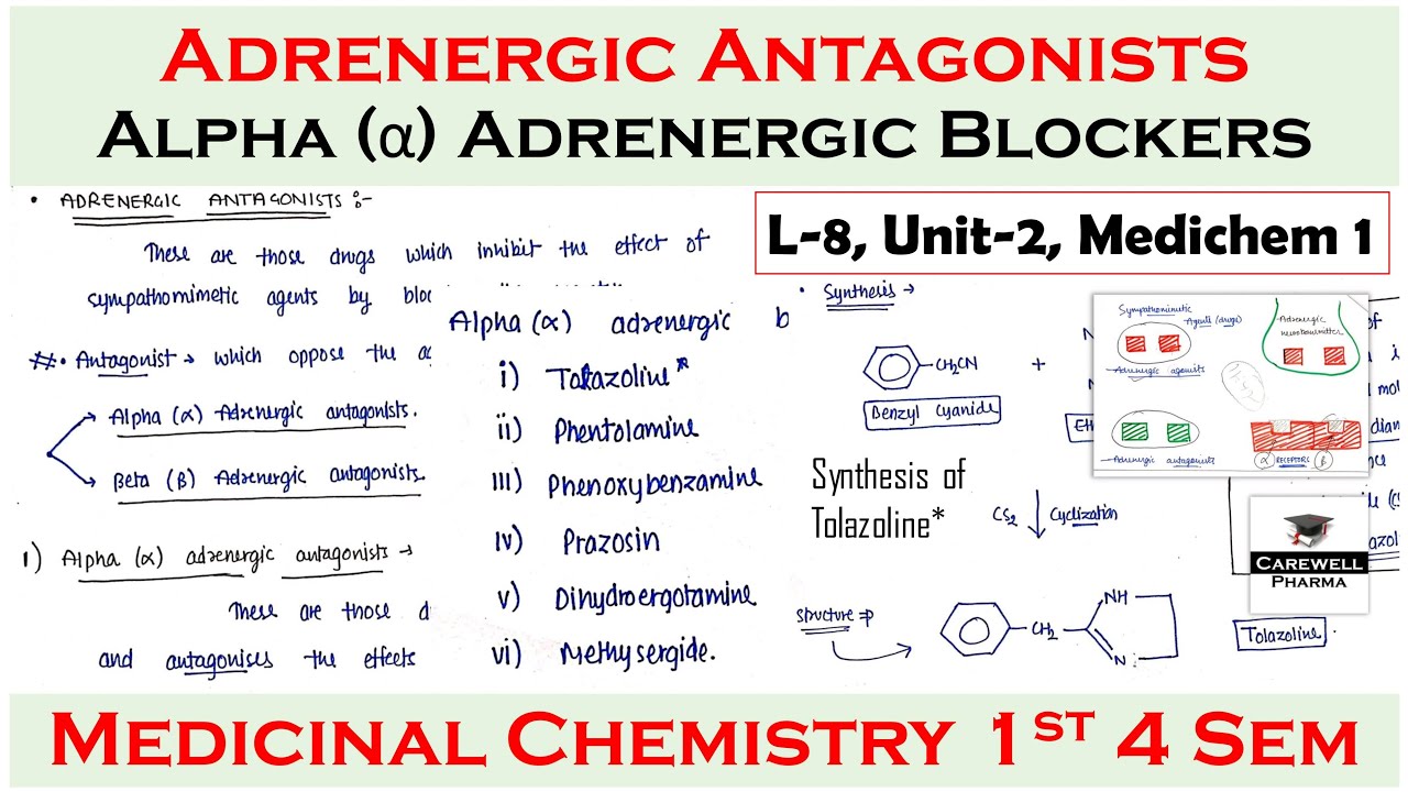 Adrenergic Antagonists || Alpha adrenergic blockers || L-8 U-2 || Medicinal chemistry 4th Sem