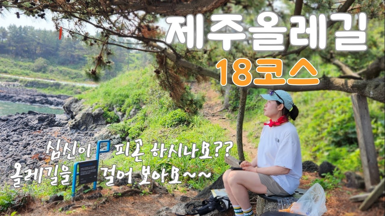 제주 올레길 18코스 | 밋밋할줄 알았던 원도심 올레길의 반전매력🤗