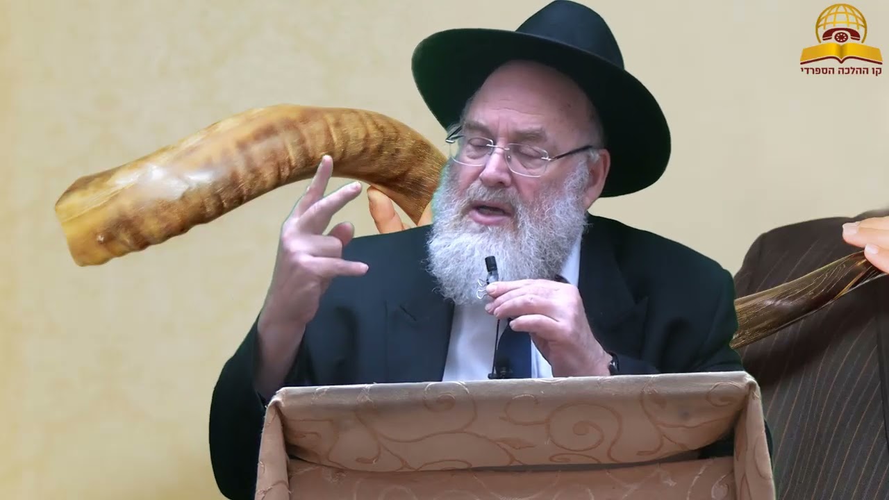 השופר מחזיר אותנו לנקודת החפץ בחיים! הרב מנחם שטיין
