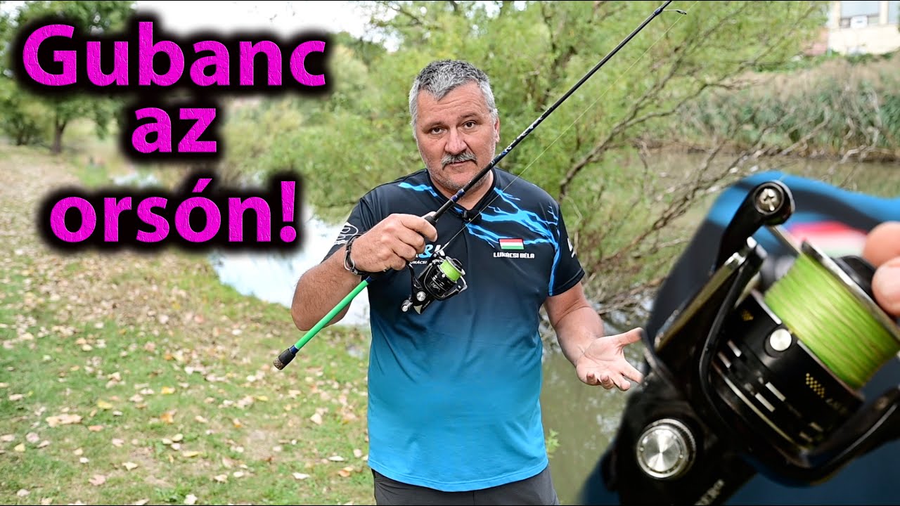 Zsinór gubancolódás