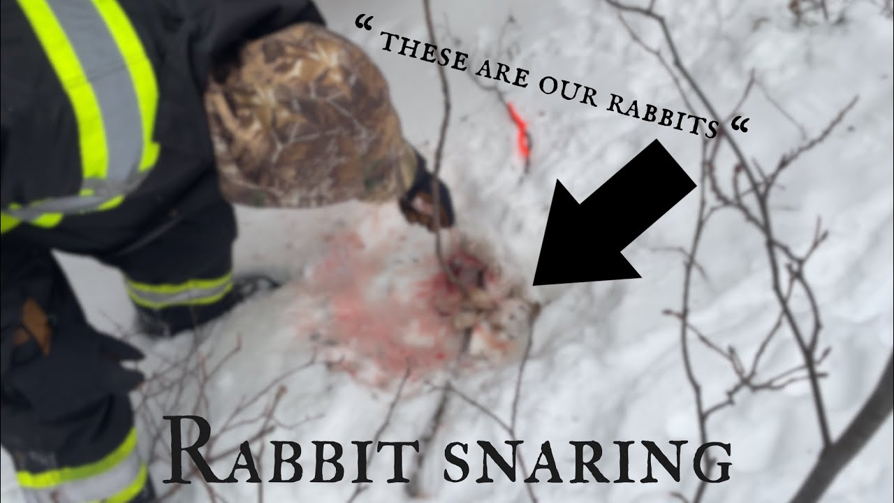 “ I’M NOT SHARING THE RABBITS !” KICKED OFF PUBLIC TRAIL! ? What would you do ? Controversial.