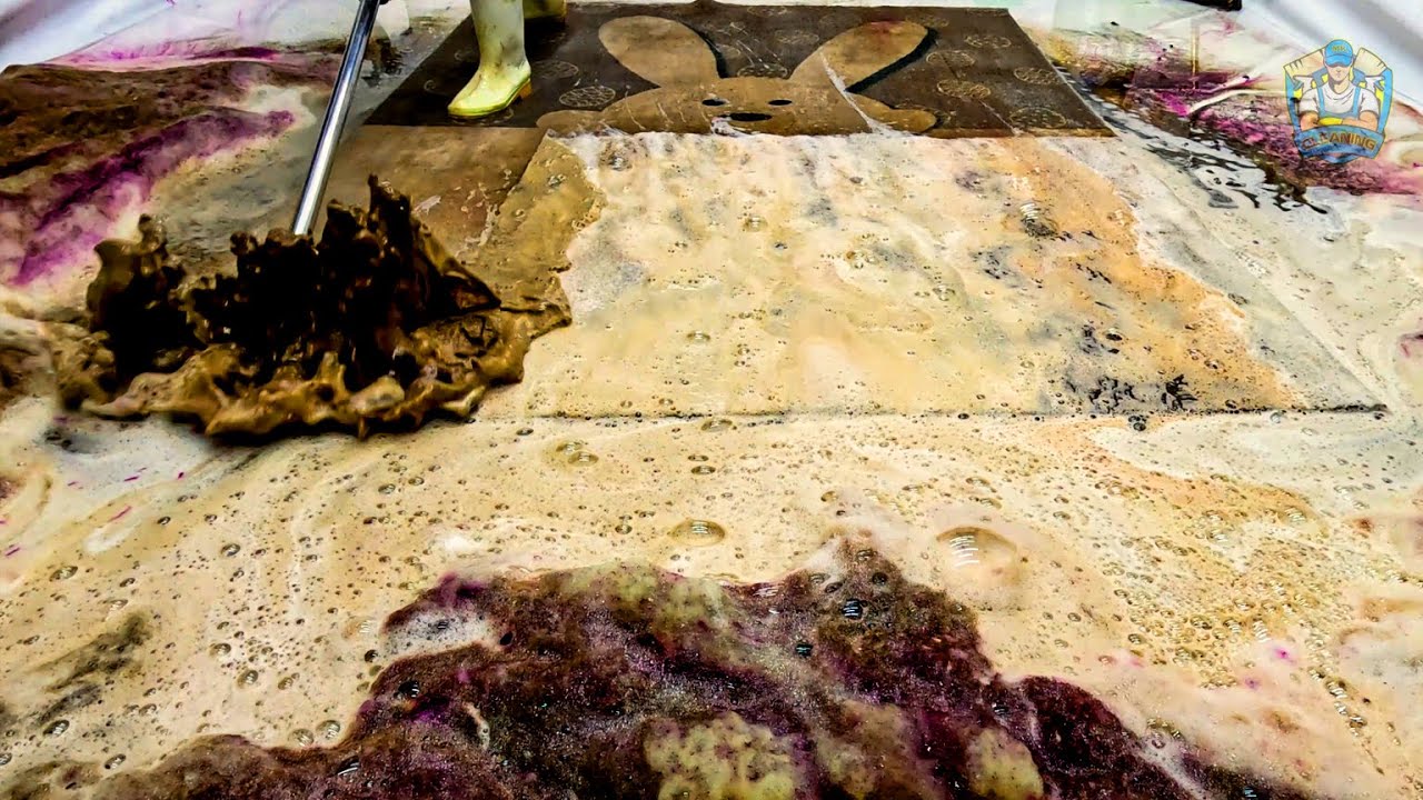 From Dusty to Divine – Rug Cleaning ASMR