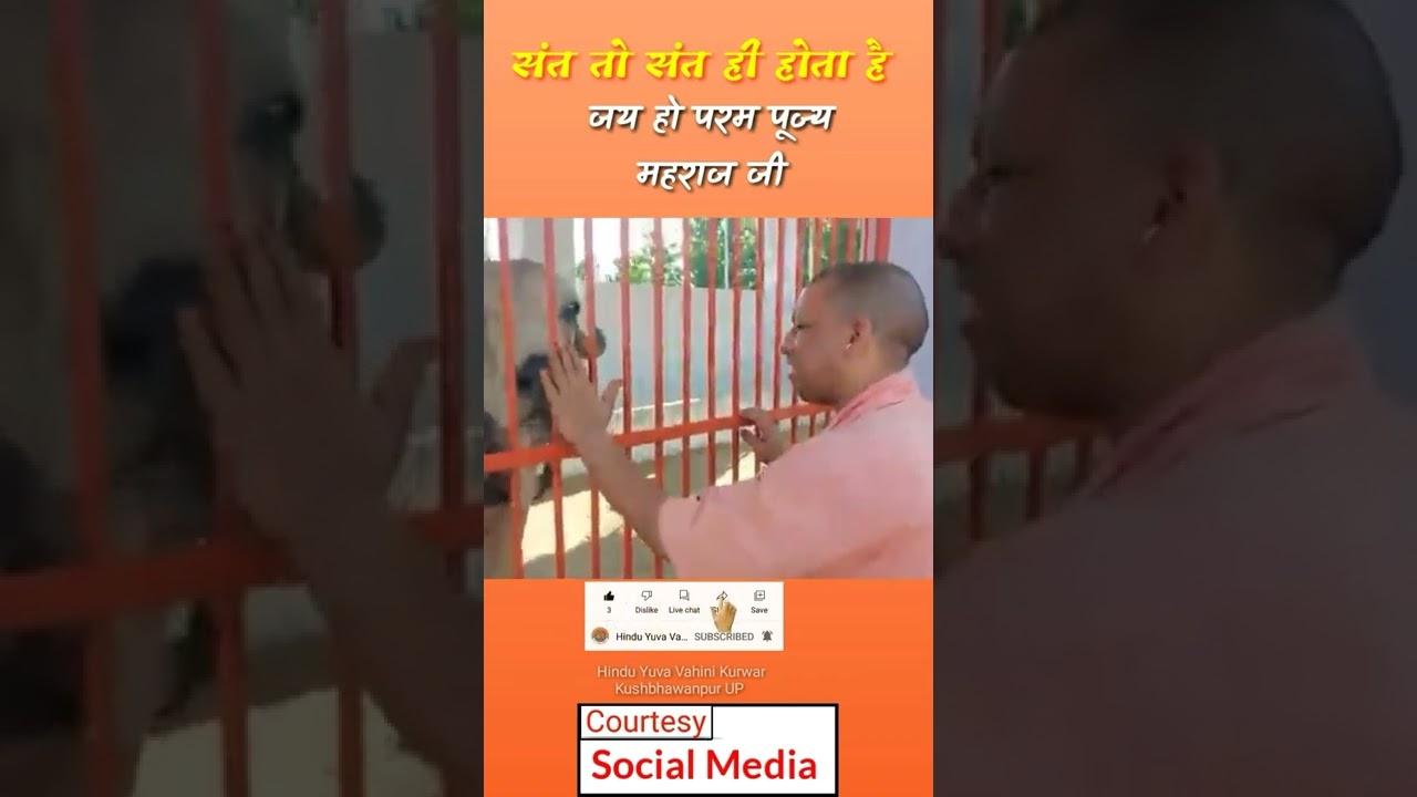 #Yogi ji's cow love is #wonderful. #shorts