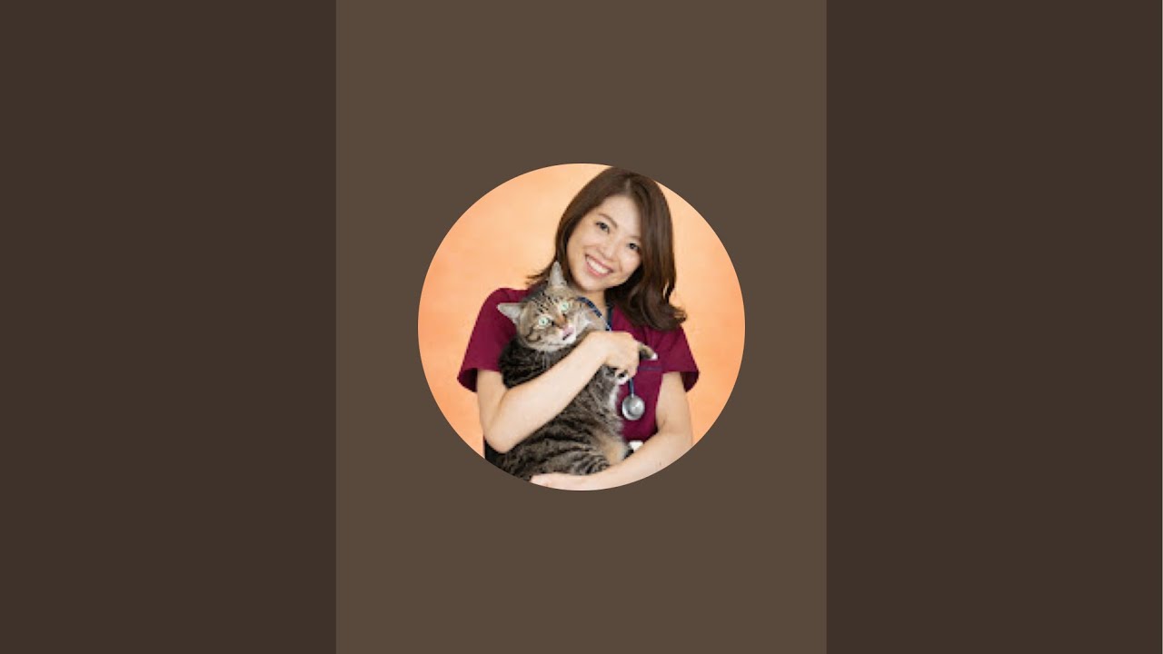 緊急ライブ！猫さんの問題行動について＆質問受付