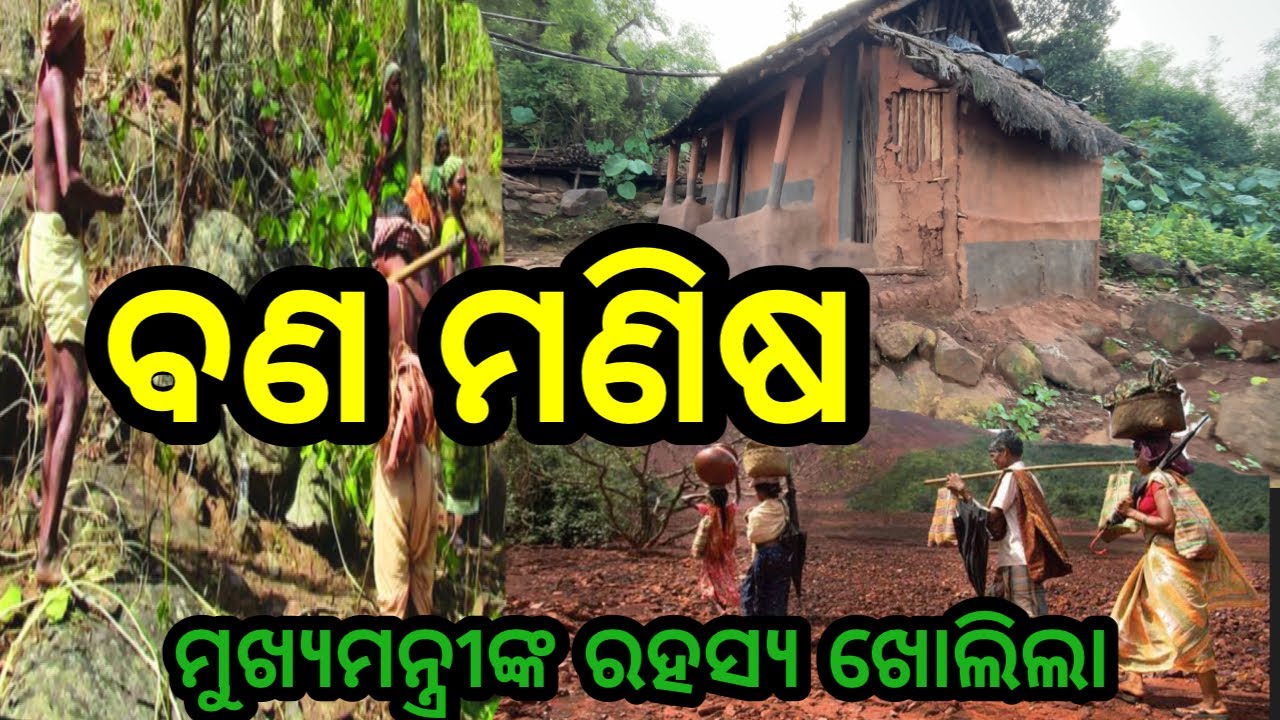 ବଣ ମଣିଷ❗ଭୟଙ୍କର ଜୀବନ❗#triballife #charigarhvlogs #odiafoodtravelvideo #villagevlifestylevlog #odisha