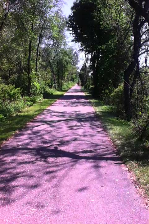 White pine trail Michigan.