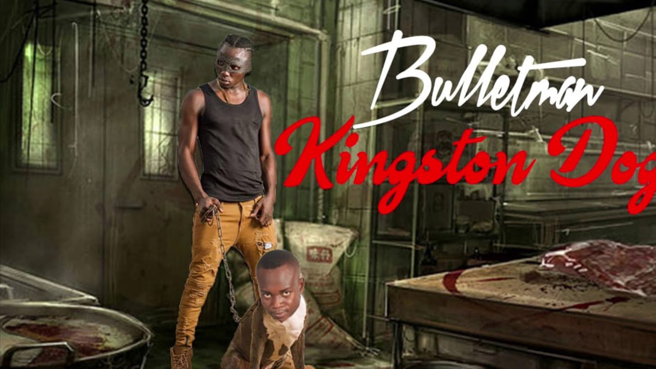 Bulletman - Kingston Dog