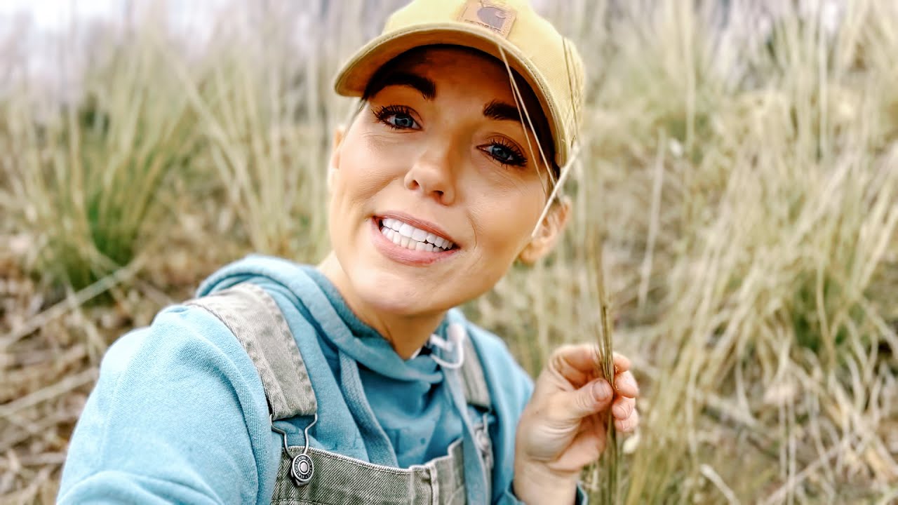 Planting White Cloud 