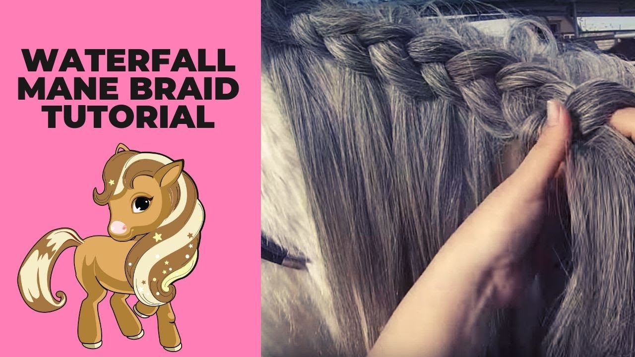 Waterfall Mane BraidTutorial