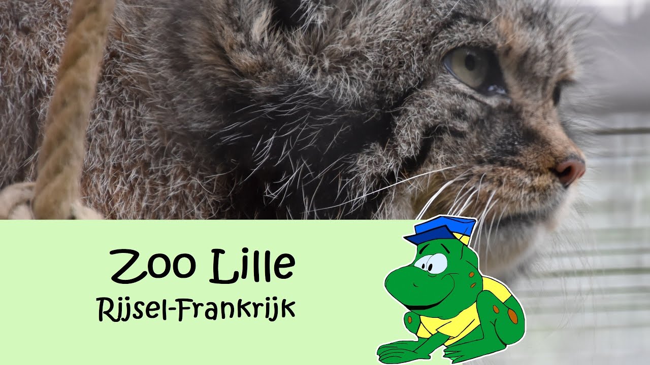 Zoo de Lille