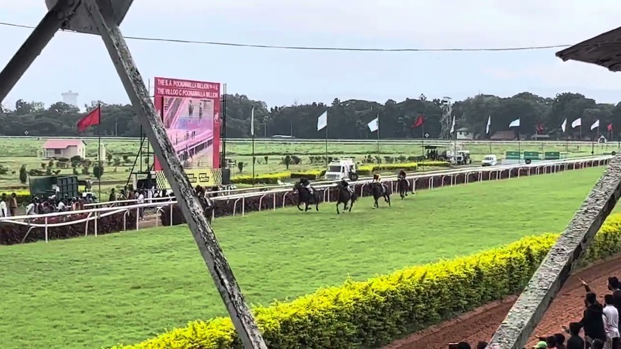 Today horse race, Pune | Pune race course #horse #race