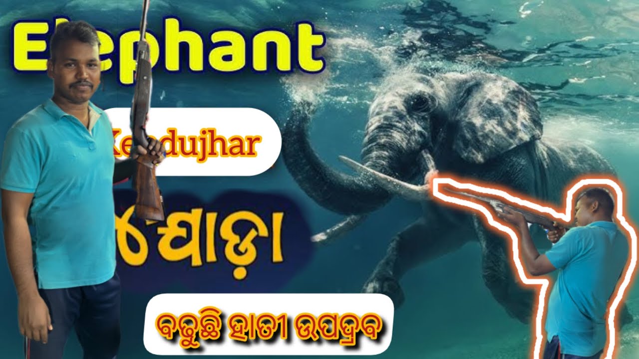 ବଢୁଛି ହାତୀ ଉପଦ୍ରବ /Elephant Barbil Kendujhar city public village views 