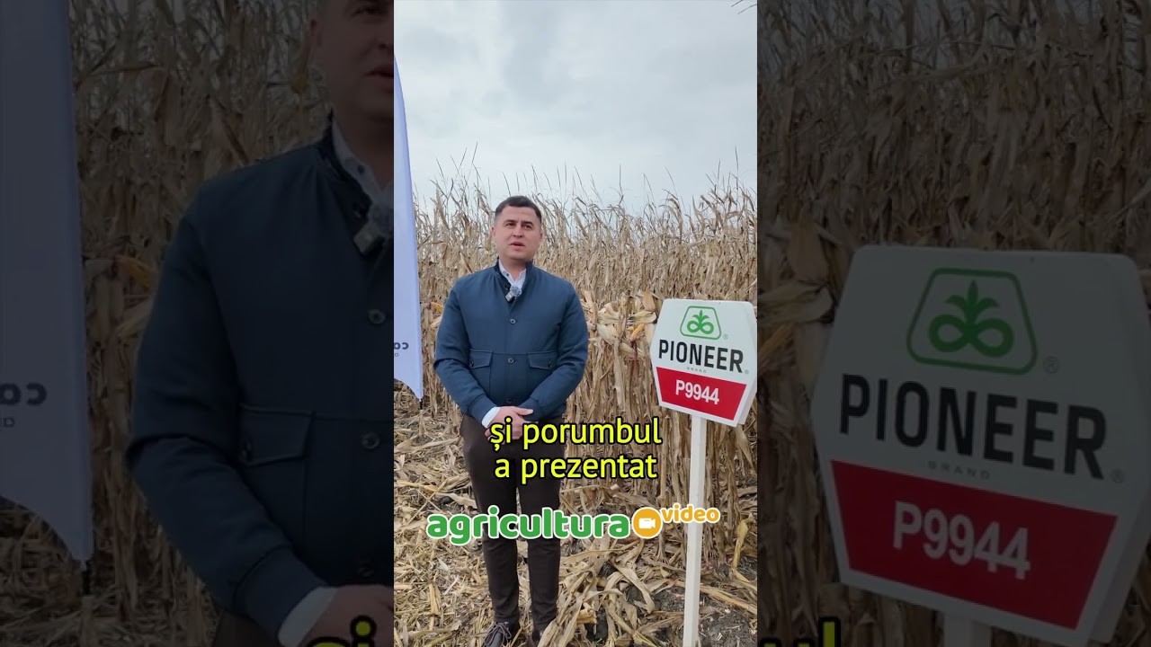 Rezultate peste așteptările fermierului Adrian Băjenaru, din Brăila, cu hibrizii de porumb Corteva