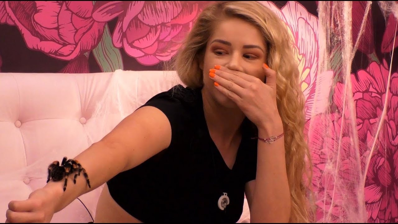 Madzia pokonała swój największy lęk! W sekretnym pokoju czekał na nią pająk! [Big Brother]