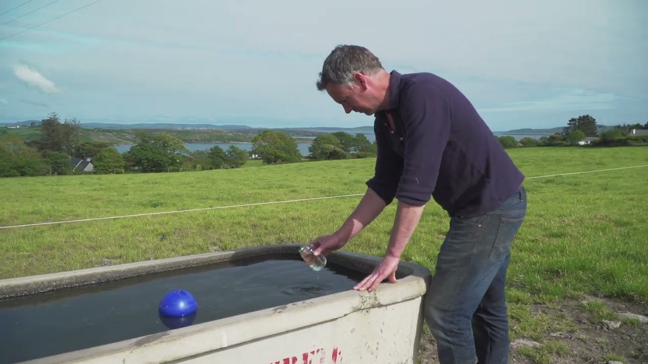Carbery Episode 1 - The Grass