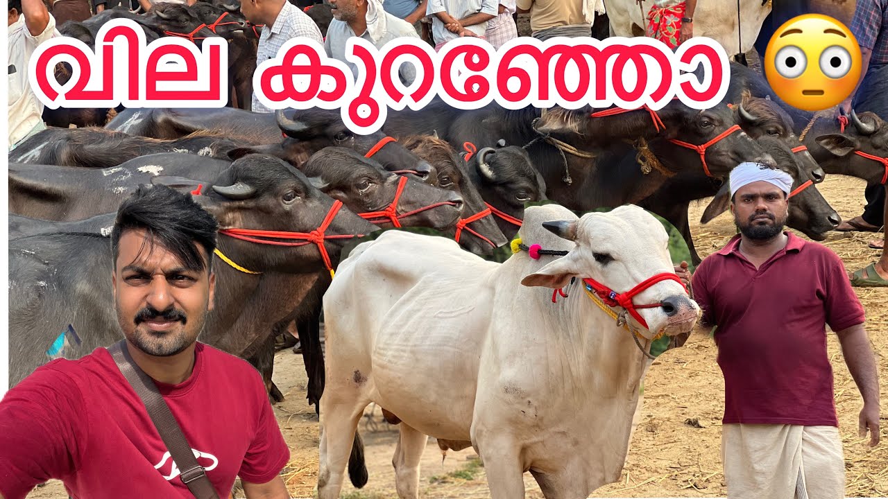 എടക്കര ചന്തയിൽ വിലകുറഞ്ഞോ? 😳😳
