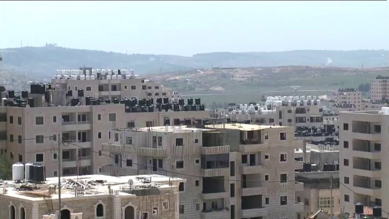 فلسطين.. 