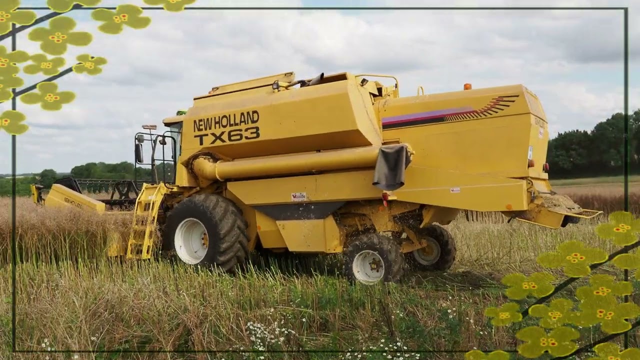 Moisson du colza à Choqueuse les Bénards - Mercredi 17 Juillet 2024
