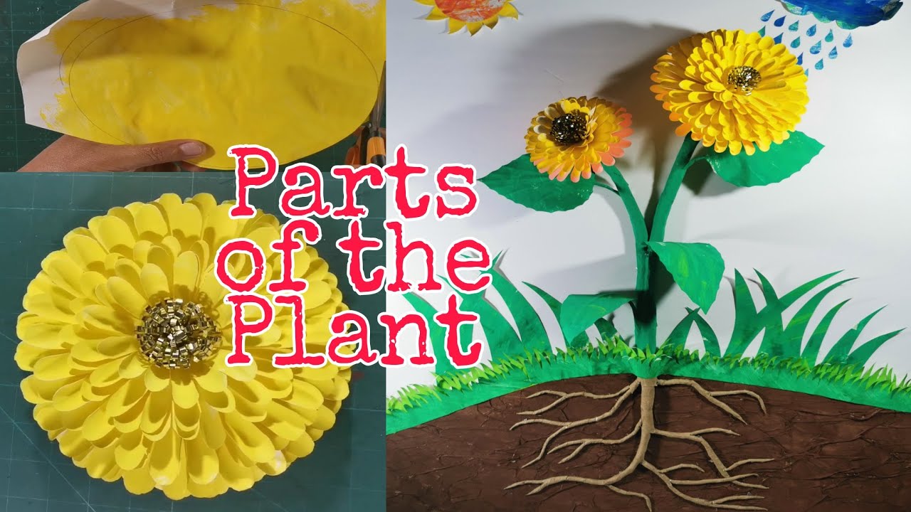 PARTS OF THE PLANT | How to make 3D Art for school activities. #partsofplant plants #diy #art