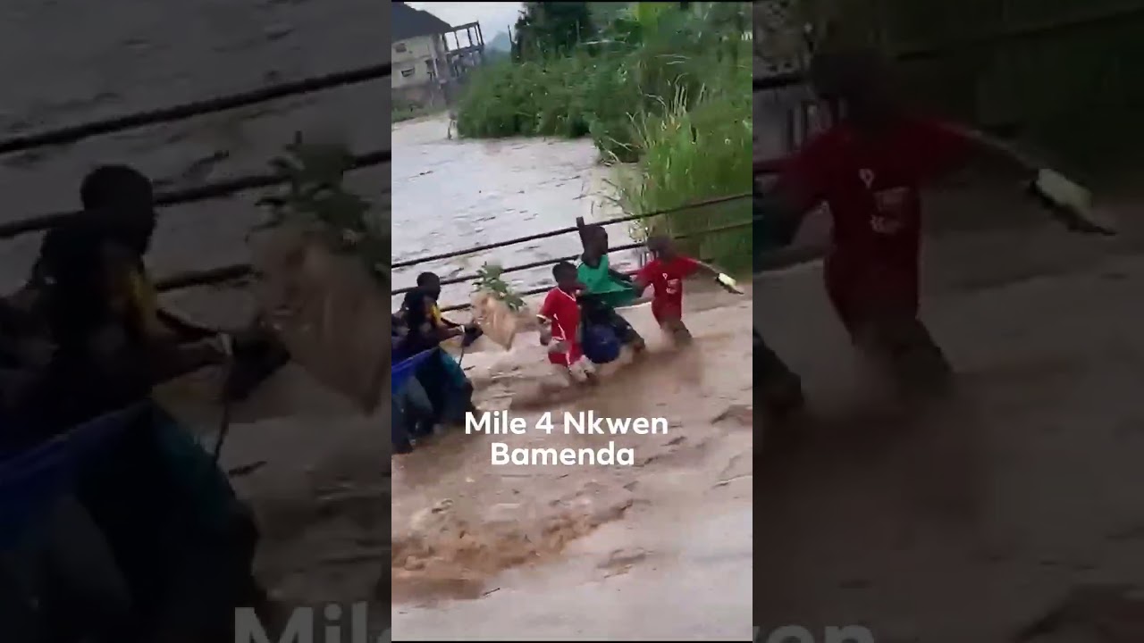 Mother Nature Unleashed: Epic Rainstorm & Flood in Bamenda, Cameroon 🌧️🌊 #Africa #Nature