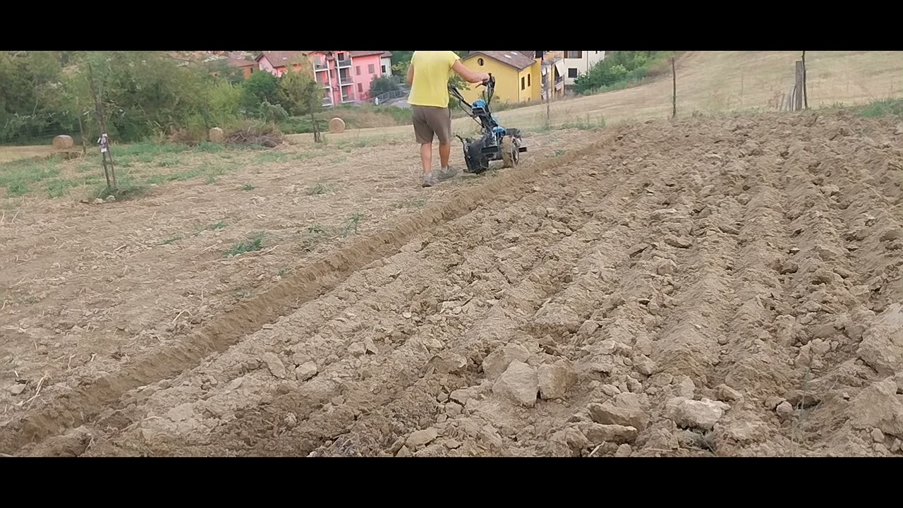 Aratura con bertolini 407s