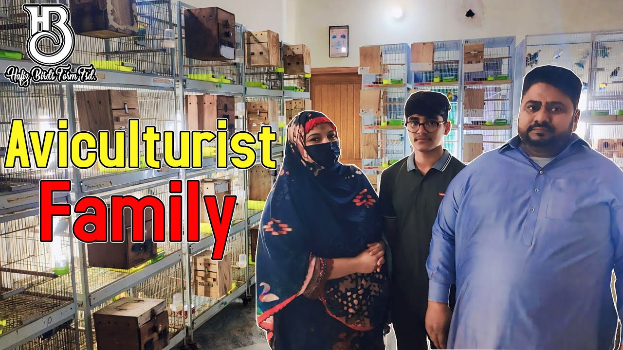 Aviculturist Family || 100+Pair's Love Birds Breeding Setup || 300 Chicks