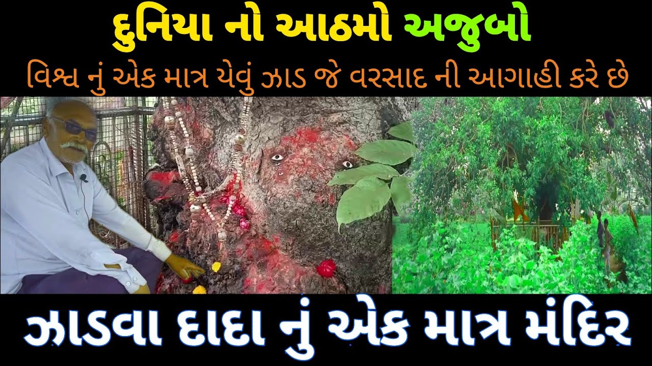 દુનિયા નો આઠમો અજુબો ઝાડવા દાદા નું એક માત્ર મંદિર||Zadava Dada||#Ravana