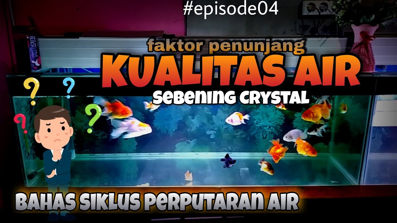 CARA MEMBUAT AIR SEBENING CRYSTAL - SIKLUS PERPUTARAN AIR AQUARIUM YANG BAIK DAN BENAR
