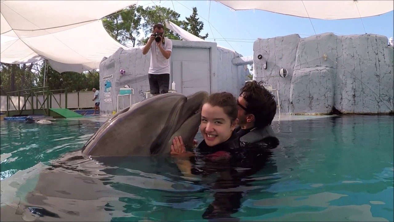 Yunus Terapi ( Damla )