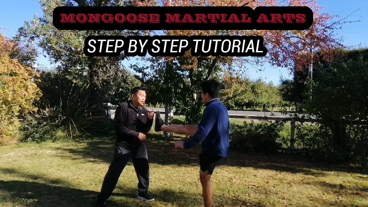 MONGOOSE MARTIAL ARTS STEP BY STEP TUTORIAL