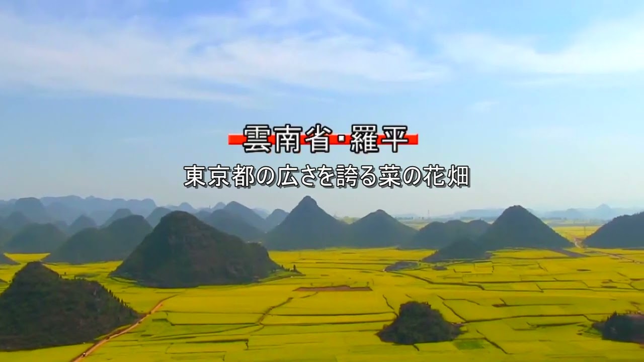 ◎中国雲南省の世界一の棚田　　◎中国雲南省の菜の花畑