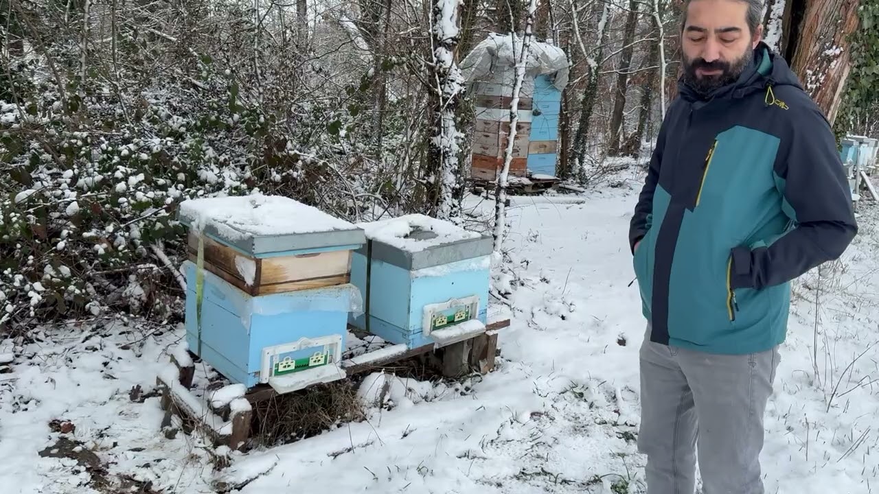 11.01.2026 kisin ne yapmamaliyiz  #arıçılıq #doğalyaşam #isviçre #honey #türkiye #arıcılık 