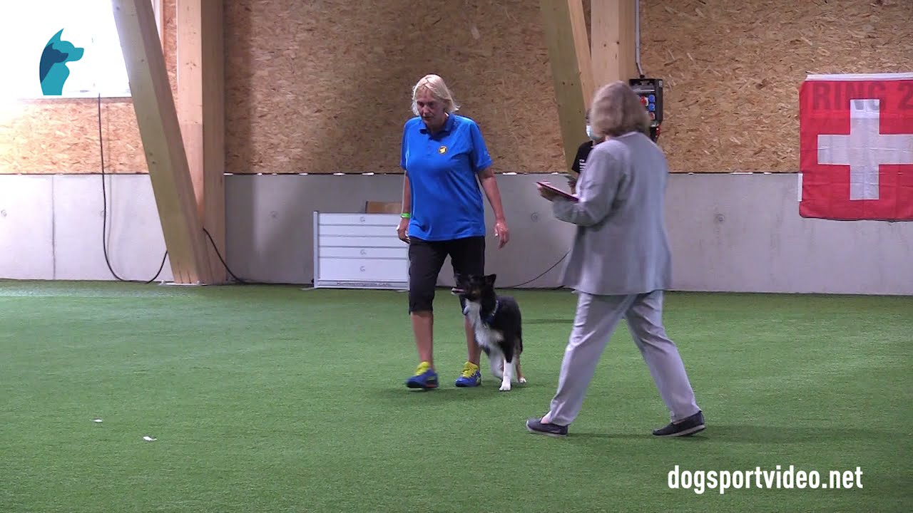 Finals - Maria Brandel + Bryggarskogens App / Border Collie - Sweden