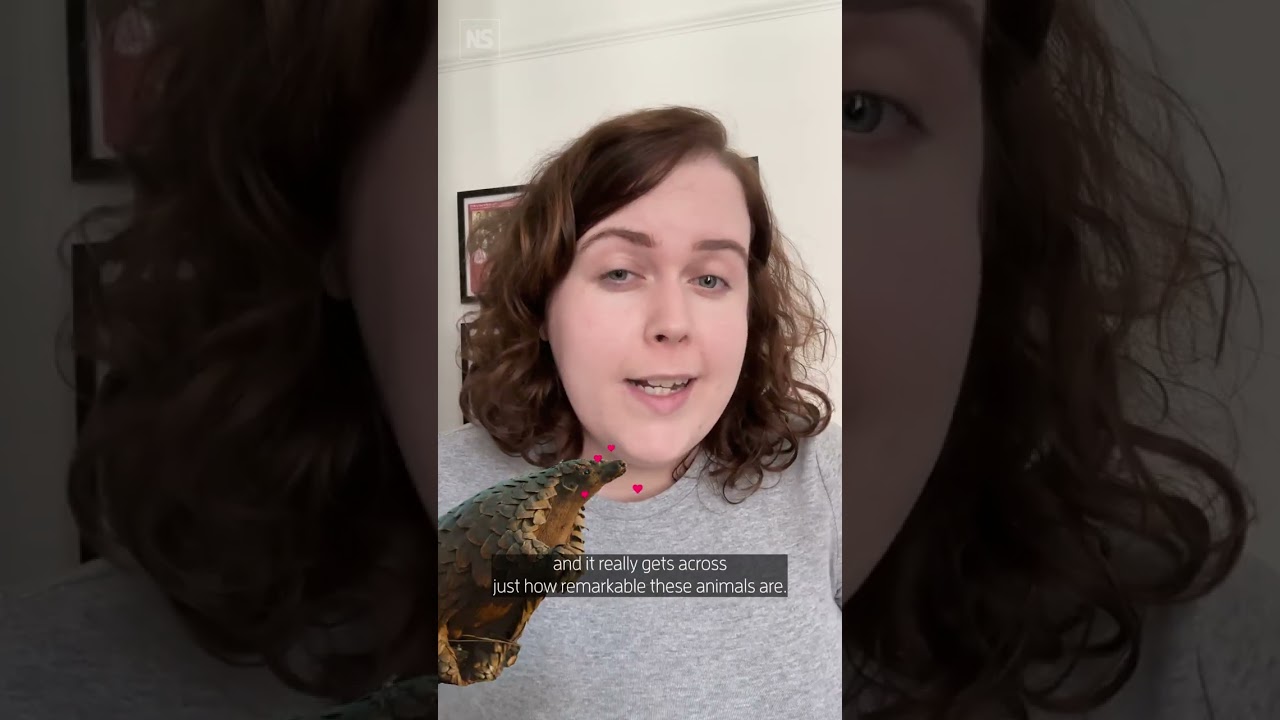 Этот научный документальный фильм страшнее любого фильма ужасов, который вы увидите 📺️😱