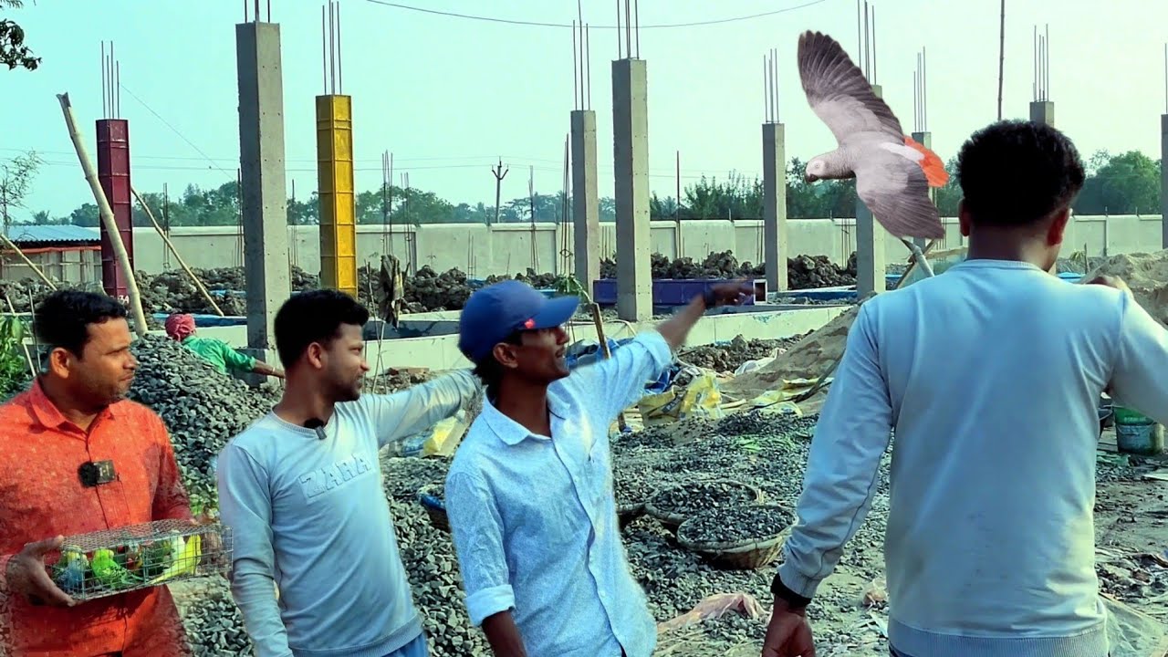 New Birds Release for Parrot Dipankar Parrot Farm / New Bird's Aviary Project