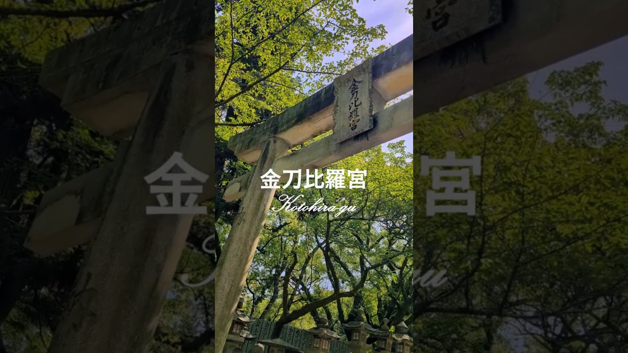 天狗が守る神社⁉金刀比羅宮奥宮の謎⛩️　#香川県 #金刀比羅宮奥社 #天狗伝説 #パワースポット #神社巡り #絶景スポット #天狗御守